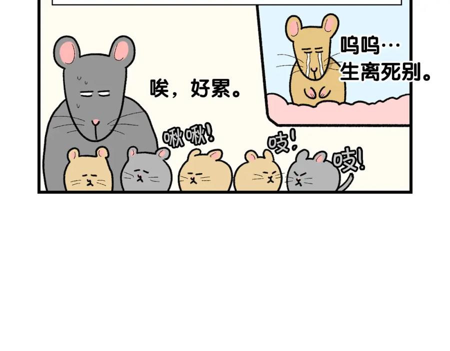 《我的狗子叫棉花》完结篇番外5 请勿随意弃养 第39页