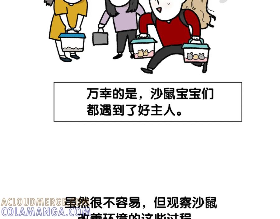 《我的狗子叫棉花》完结篇番外5 请勿随意弃养 第52页
