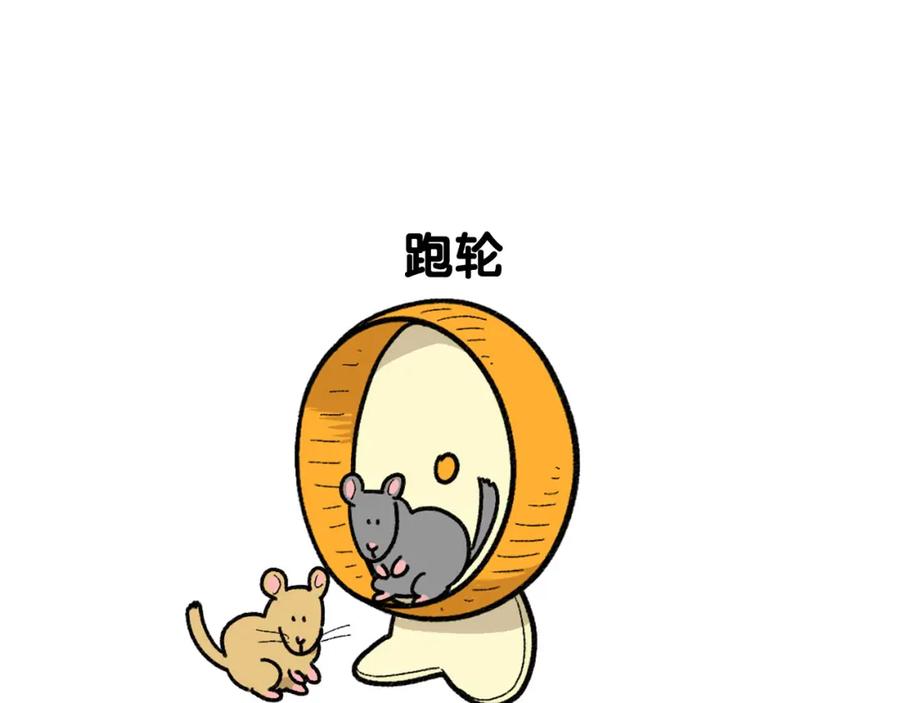 《我的狗子叫棉花》完结篇番外5 请勿随意弃养 第11页