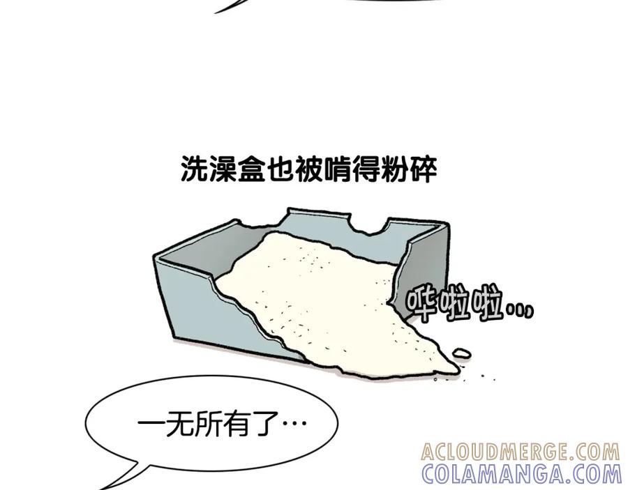 《我的狗子叫棉花》完结篇番外5 请勿随意弃养 第13页
