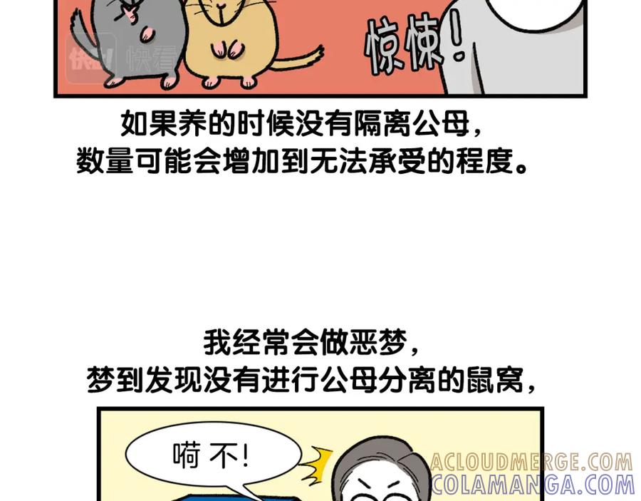 《我的狗子叫棉花》完结篇番外5 请勿随意弃养 第46页