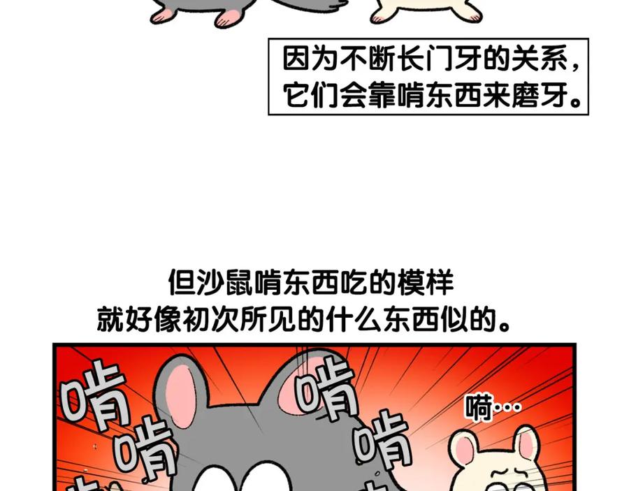 《我的狗子叫棉花》完结篇番外5 请勿随意弃养 第6页