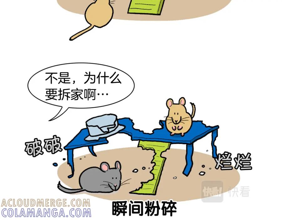 《我的狗子叫棉花》完结篇番外5 请勿随意弃养 第10页