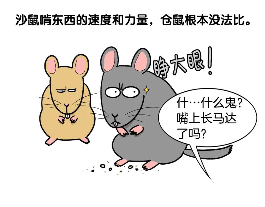 《我的狗子叫棉花》完结篇番外5 请勿随意弃养 第8页