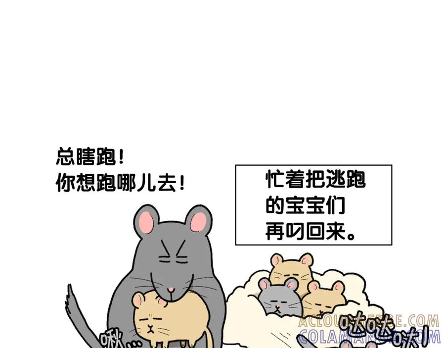 《我的狗子叫棉花》完结篇番外5 请勿随意弃养 第37页