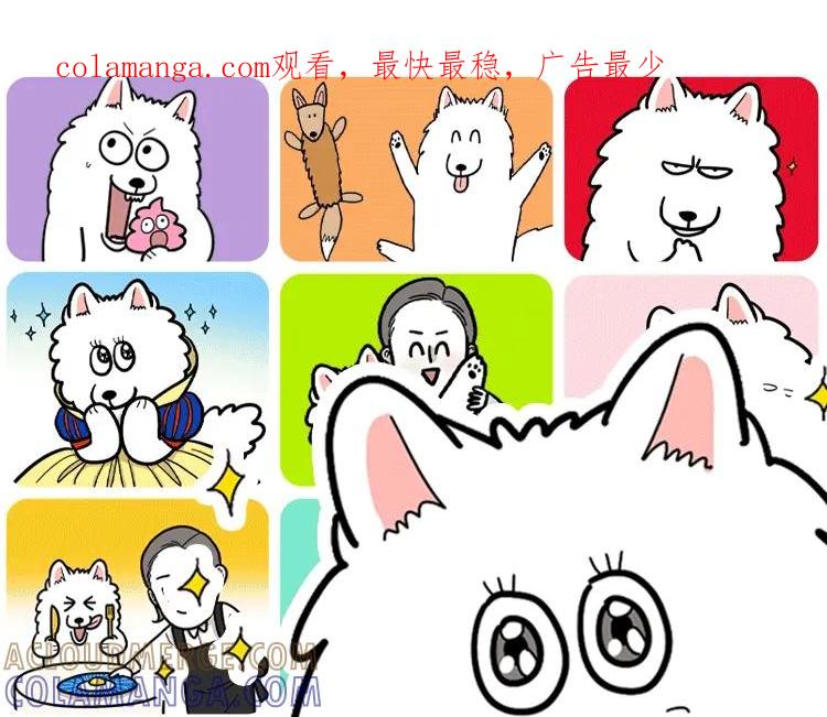 《我的狗子叫棉花》KK文具系列上线 快带狗子回家吧 第1页