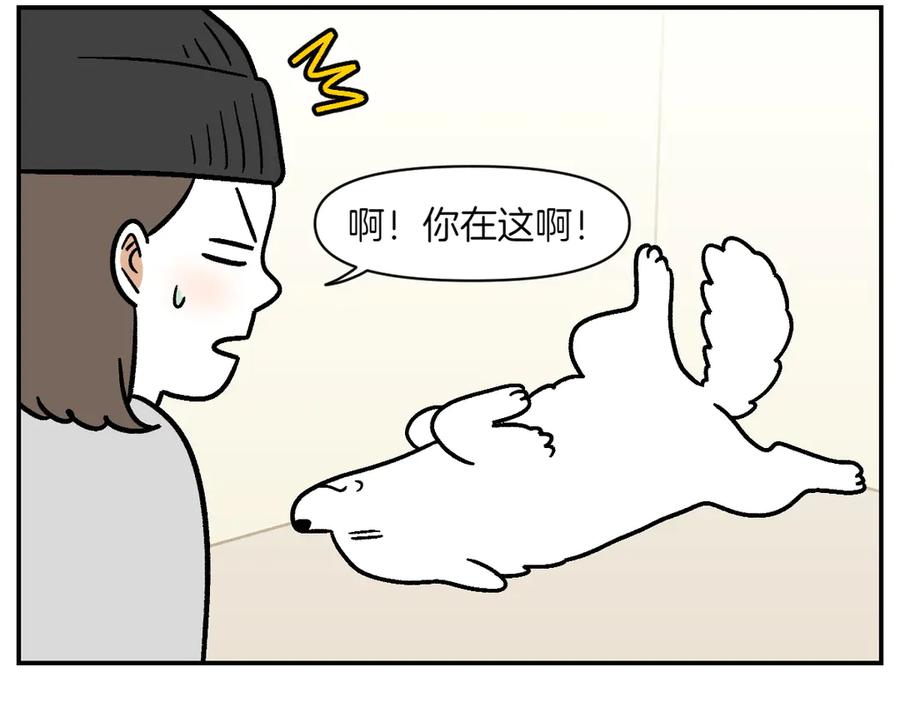 《我的狗子叫棉花》第2季序章 已经是中年狗狗了！ 第62页