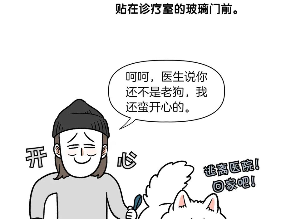 《我的狗子叫棉花》第2季序章 已经是中年狗狗了！ 第15页