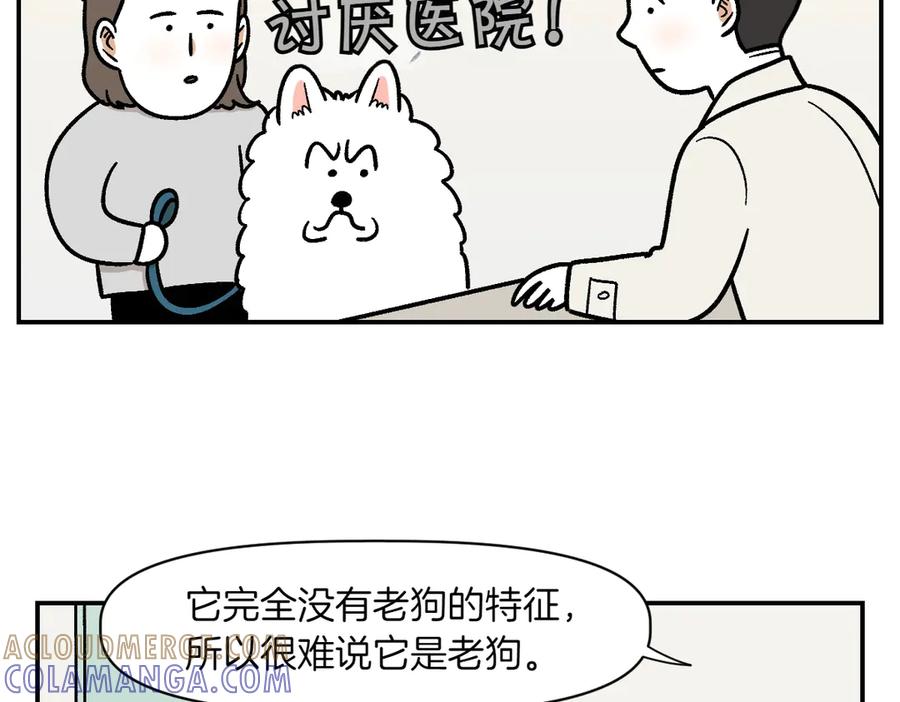 《我的狗子叫棉花》第2季序章 已经是中年狗狗了！ 第13页