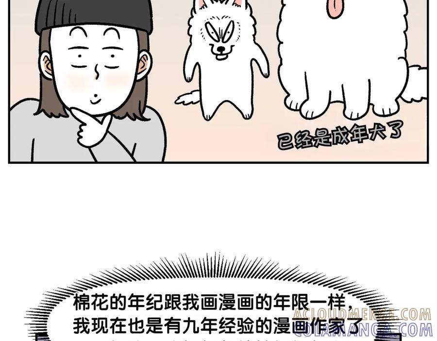 《我的狗子叫棉花》第2季序章 已经是中年狗狗了！ 第7页