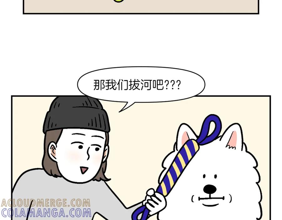《我的狗子叫棉花》第2季序章 已经是中年狗狗了！ 第52页