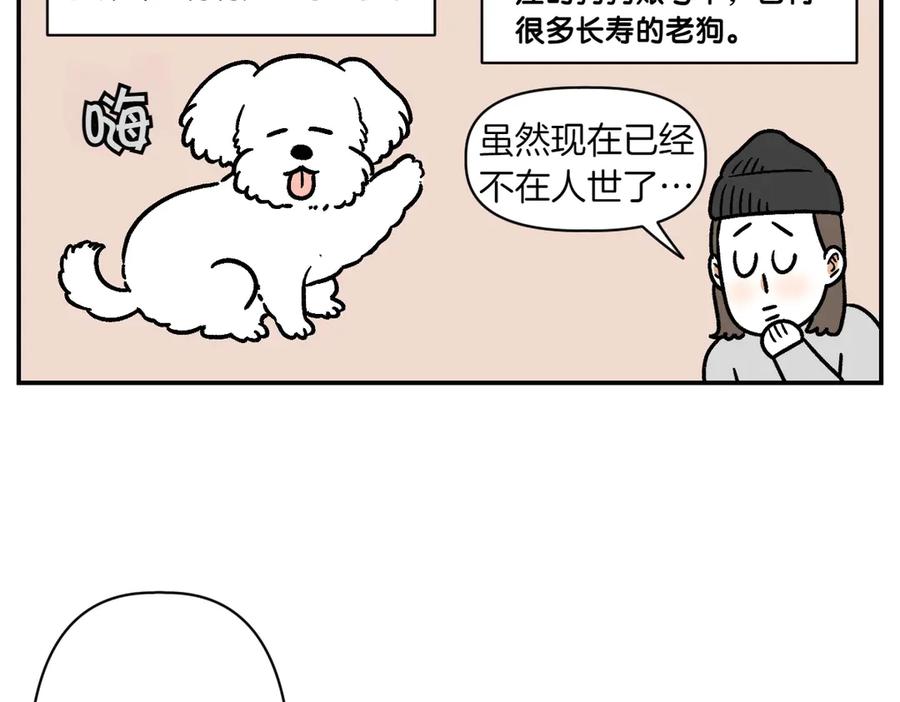 《我的狗子叫棉花》第2季序章 已经是中年狗狗了！ 第36页