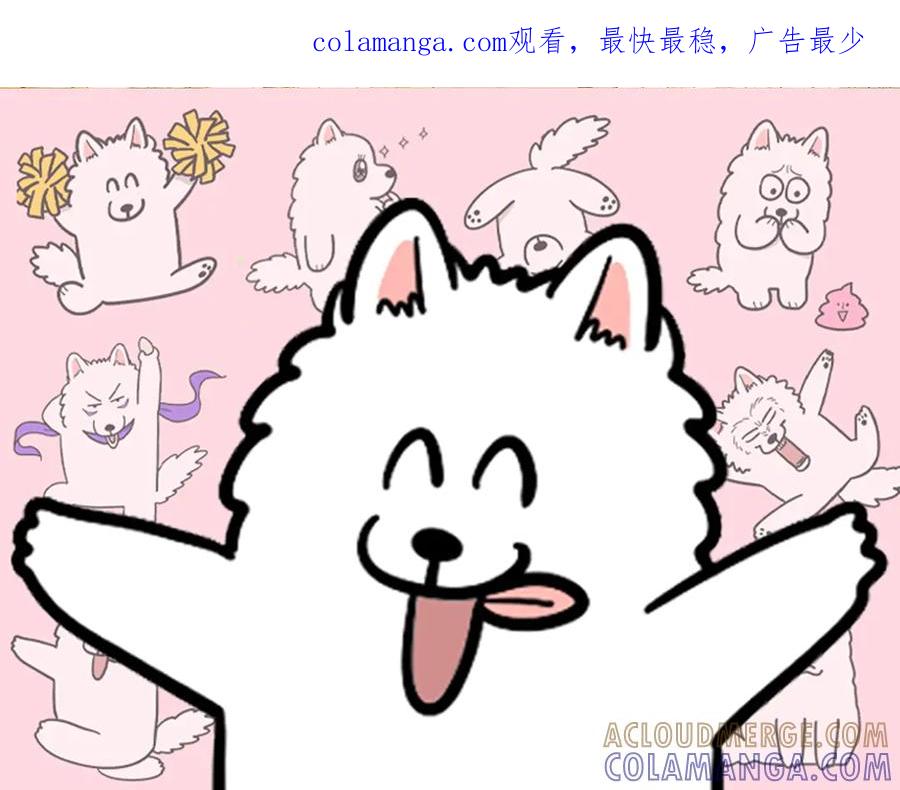 《我的狗子叫棉花》第2季序章 已经是中年狗狗了！ 第1页