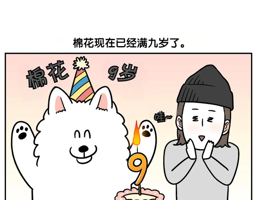 《我的狗子叫棉花》第2季序章 已经是中年狗狗了！ 第5页