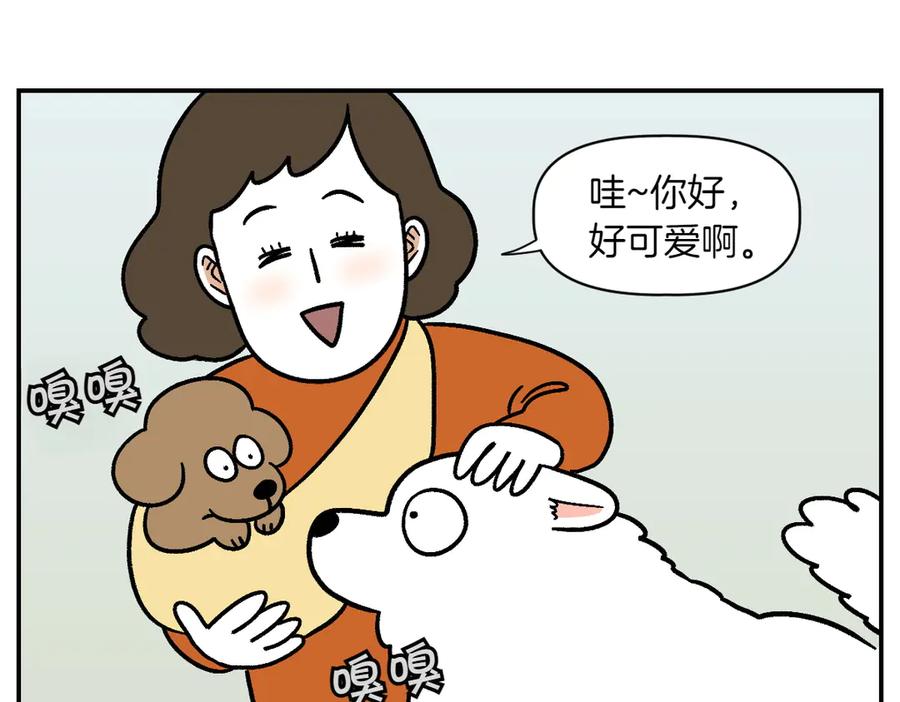 《我的狗子叫棉花》第2季序章 已经是中年狗狗了！ 第18页