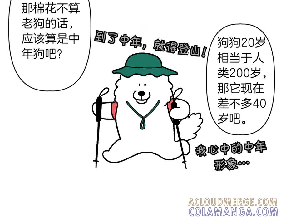《我的狗子叫棉花》第2季序章 已经是中年狗狗了！ 第37页