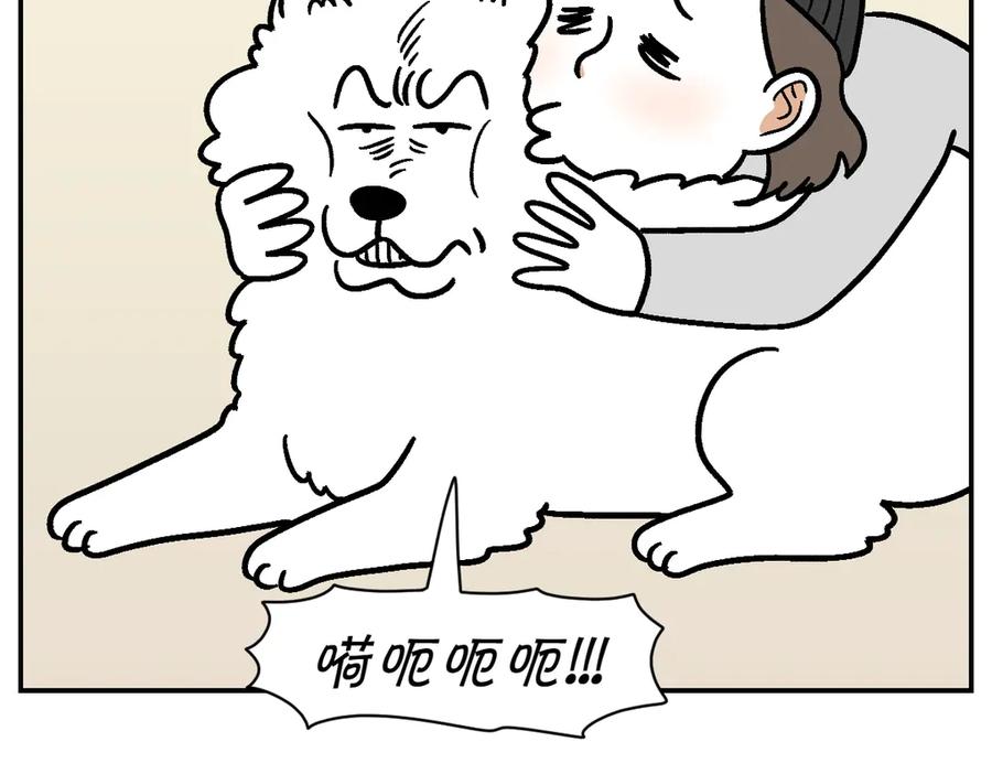 《我的狗子叫棉花》第2季序章 已经是中年狗狗了！ 第56页