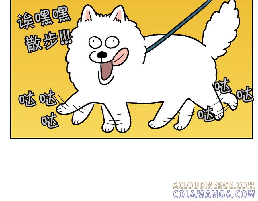 《我的狗子叫棉花》第2季序章 已经是中年狗狗了！ 第25页