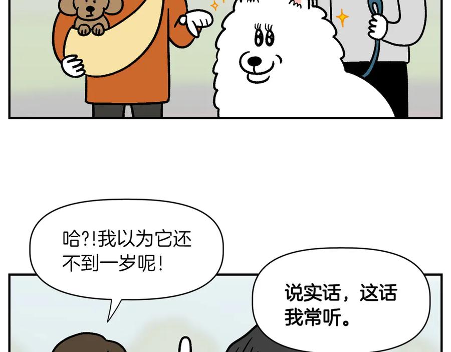 《我的狗子叫棉花》第2季序章 已经是中年狗狗了！ 第20页