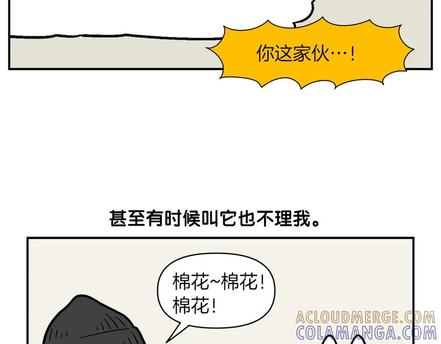 《我的狗子叫棉花》第2季序章 已经是中年狗狗了！ 第70页