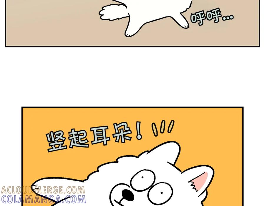 《我的狗子叫棉花》第2季序章 已经是中年狗狗了！ 第58页