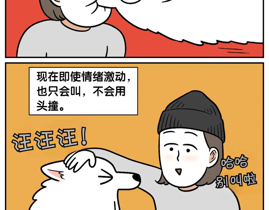 《我的狗子叫棉花》第2季序章 已经是中年狗狗了！ 第42页