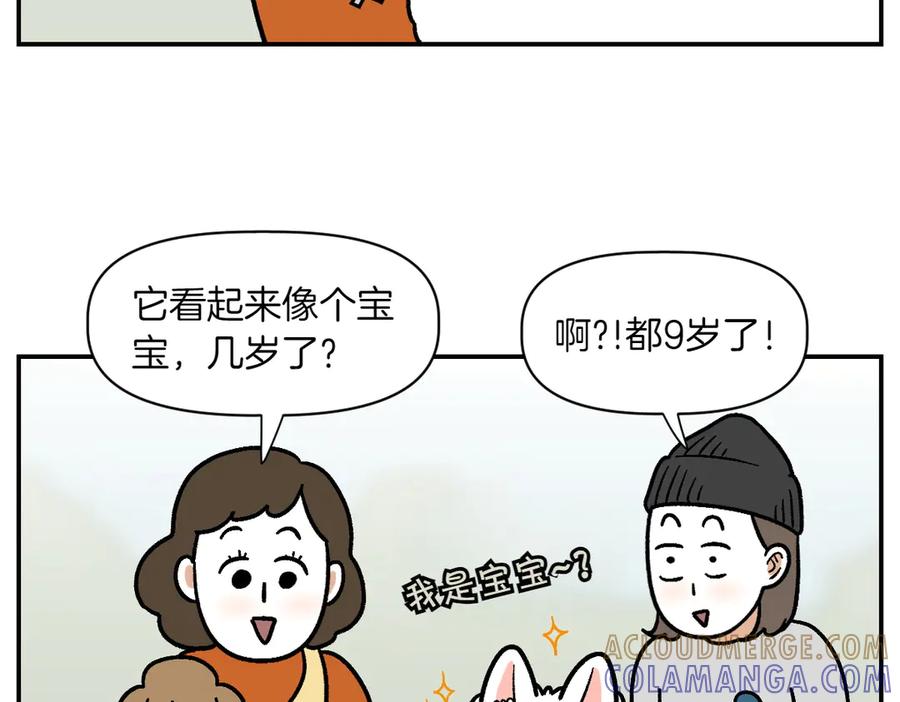 《我的狗子叫棉花》第2季序章 已经是中年狗狗了！ 第19页