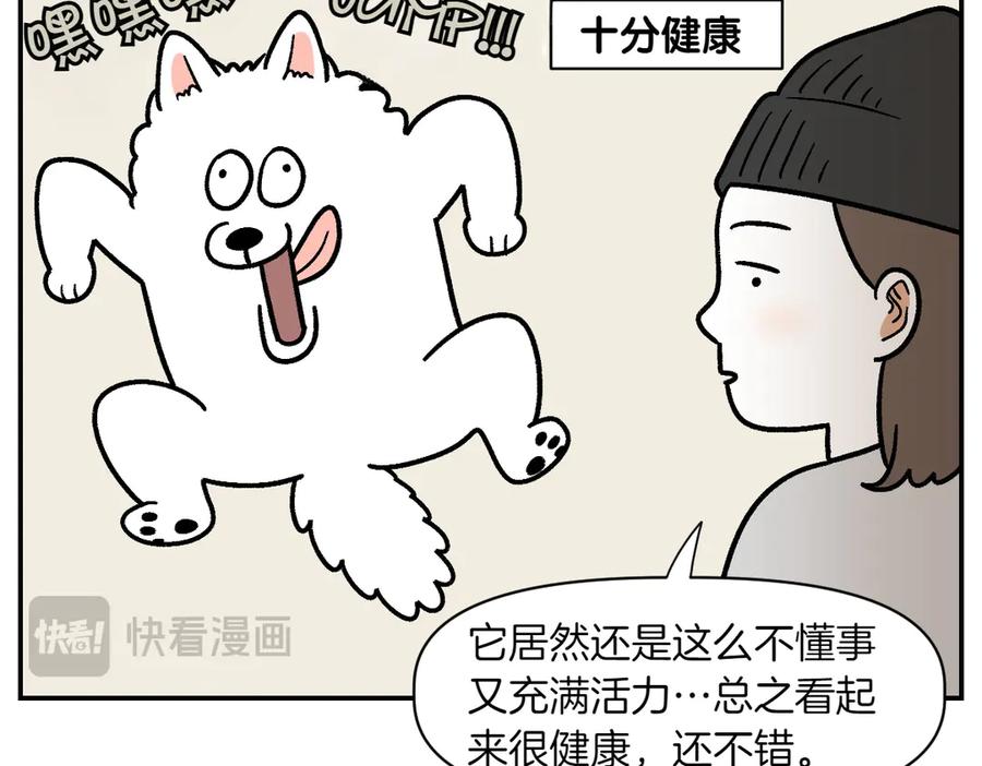 《我的狗子叫棉花》第2季序章 已经是中年狗狗了！ 第11页