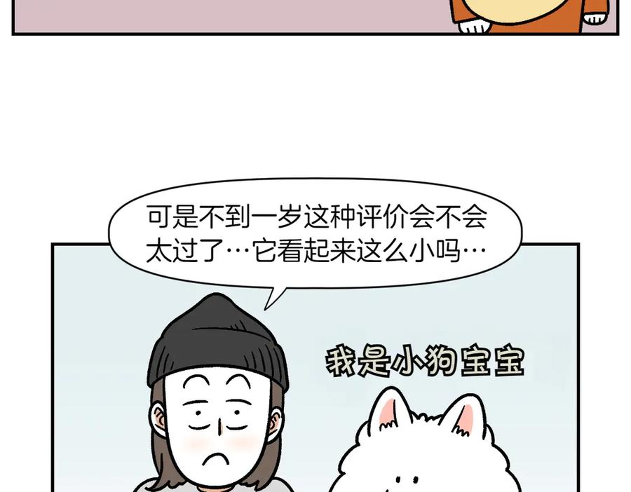 《我的狗子叫棉花》第2季序章 已经是中年狗狗了！ 第23页