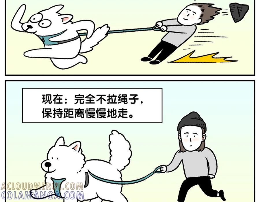 《我的狗子叫棉花》第2季序章 已经是中年狗狗了！ 第40页