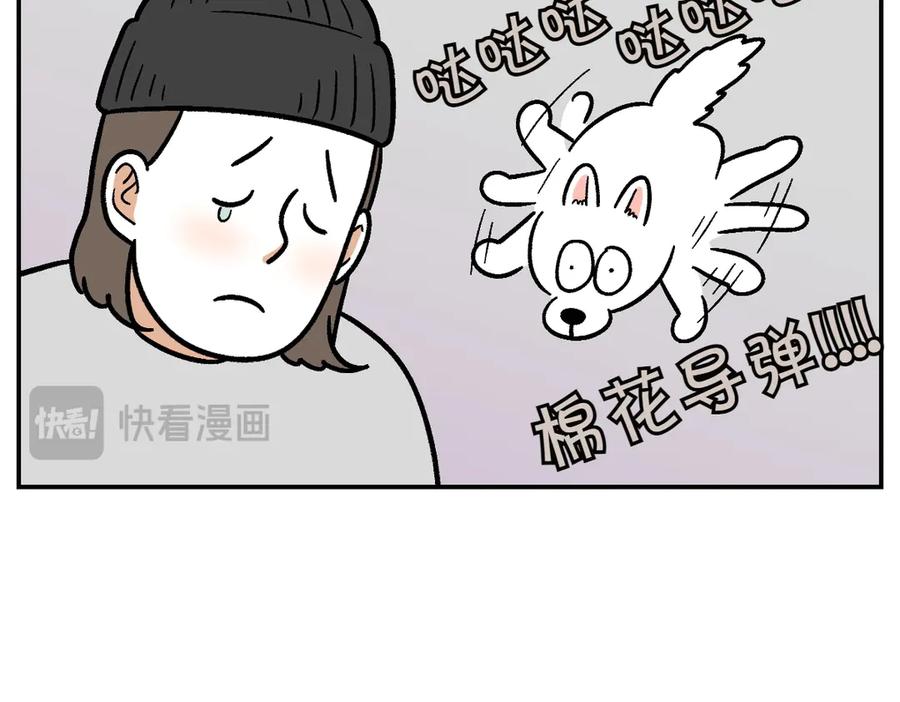 《我的狗子叫棉花》第2季序章 已经是中年狗狗了！ 第65页