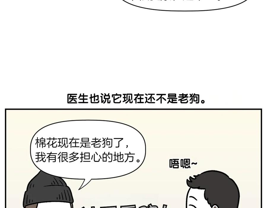 《我的狗子叫棉花》第2季序章 已经是中年狗狗了！ 第12页