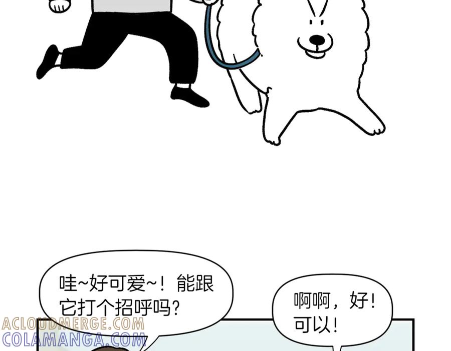 《我的狗子叫棉花》第2季序章 已经是中年狗狗了！ 第16页