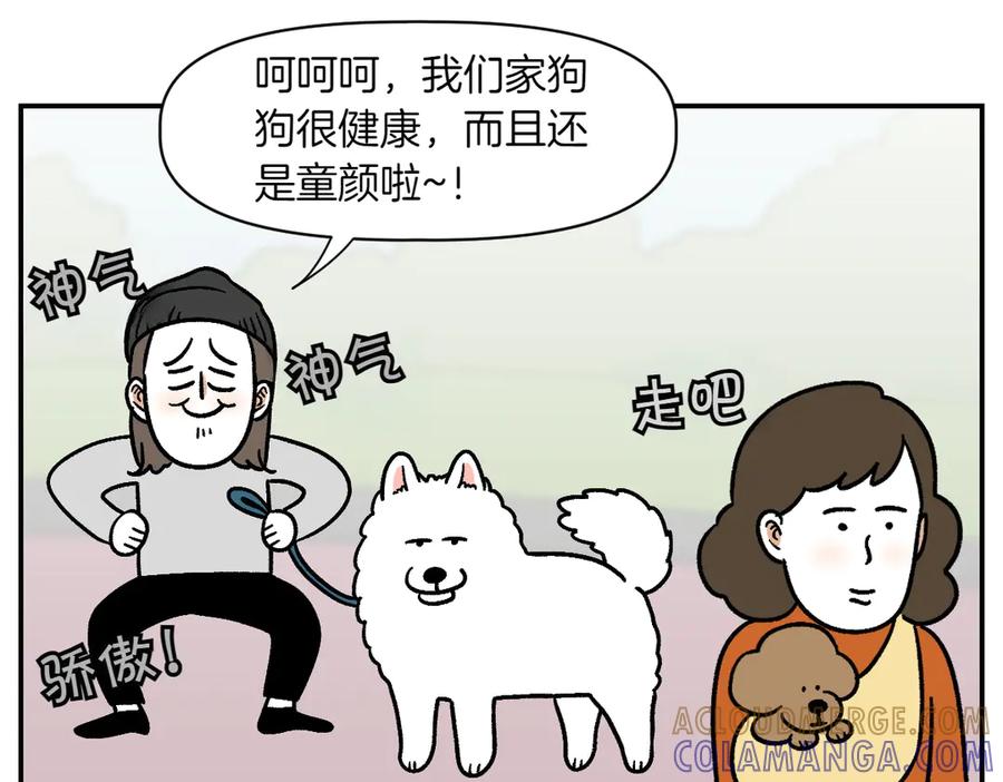 《我的狗子叫棉花》第2季序章 已经是中年狗狗了！ 第22页