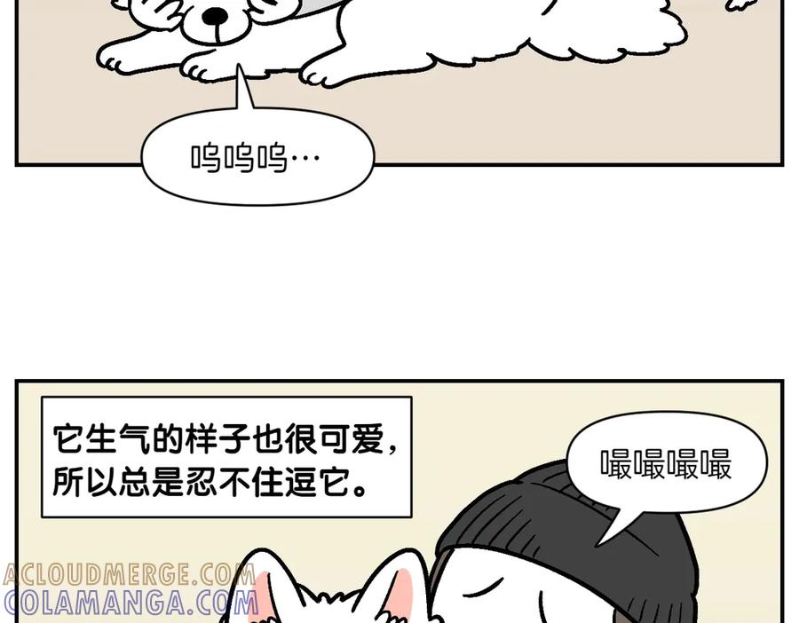 《我的狗子叫棉花》第2季序章 已经是中年狗狗了！ 第55页