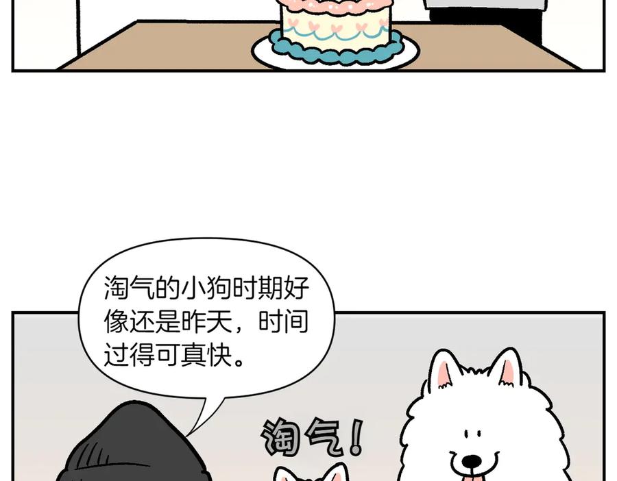 《我的狗子叫棉花》第2季序章 已经是中年狗狗了！ 第6页