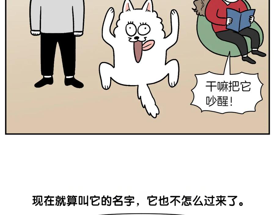《我的狗子叫棉花》第2季序章 已经是中年狗狗了！ 第60页