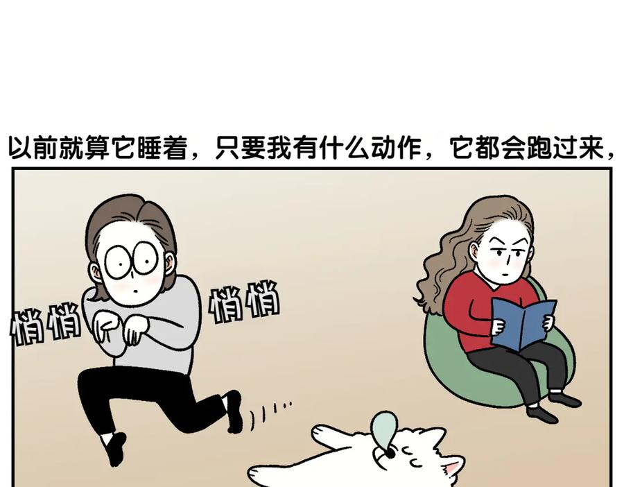 《我的狗子叫棉花》第2季序章 已经是中年狗狗了！ 第57页
