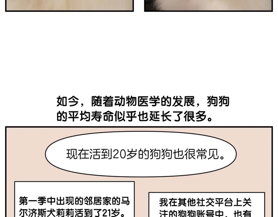 《我的狗子叫棉花》第2季序章 已经是中年狗狗了！ 第35页