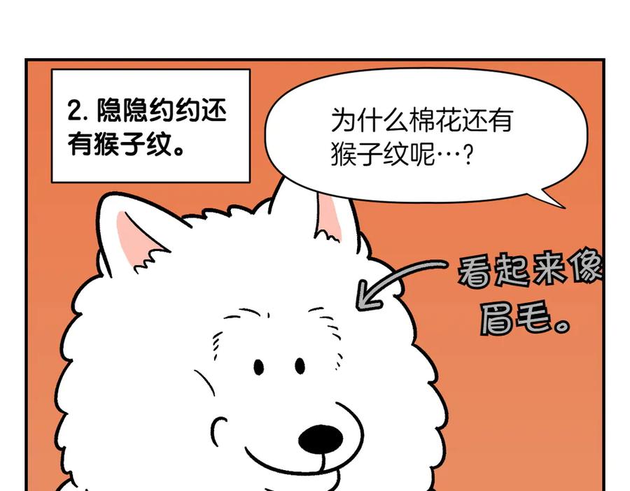《我的狗子叫棉花》第2季序章 已经是中年狗狗了！ 第26页