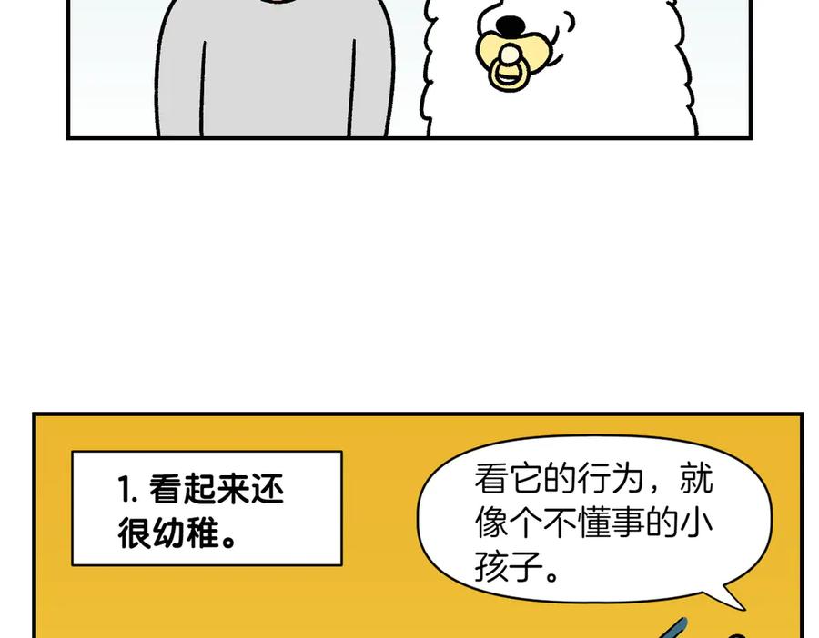 《我的狗子叫棉花》第2季序章 已经是中年狗狗了！ 第24页