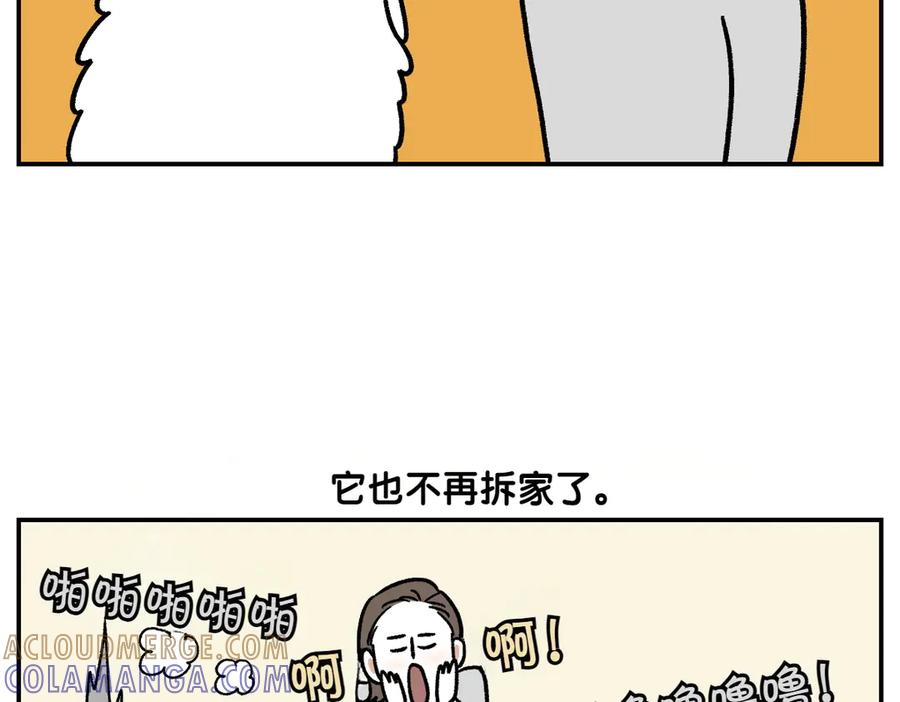 《我的狗子叫棉花》第2季序章 已经是中年狗狗了！ 第43页