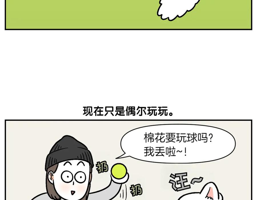 《我的狗子叫棉花》第2季序章 已经是中年狗狗了！ 第47页