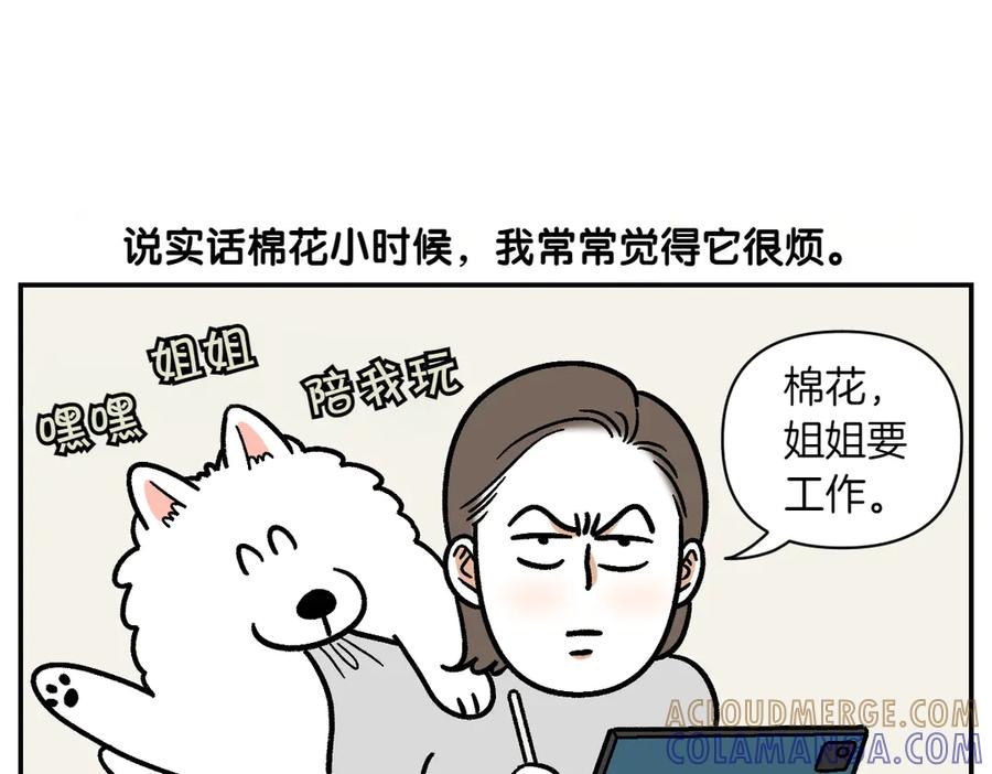 《我的狗子叫棉花》第2季序章 已经是中年狗狗了！ 第73页