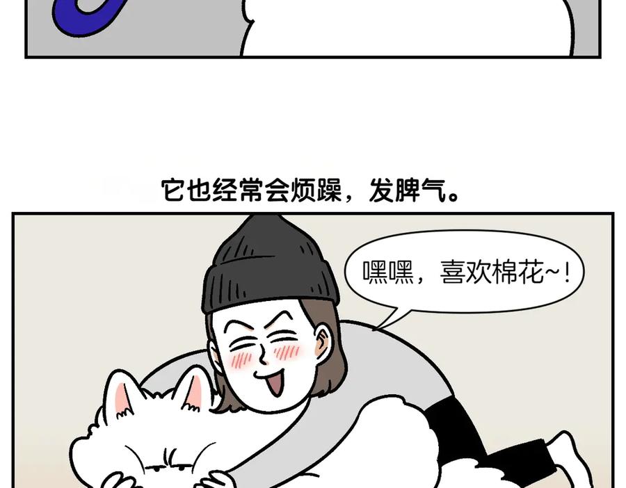 《我的狗子叫棉花》第2季序章 已经是中年狗狗了！ 第54页