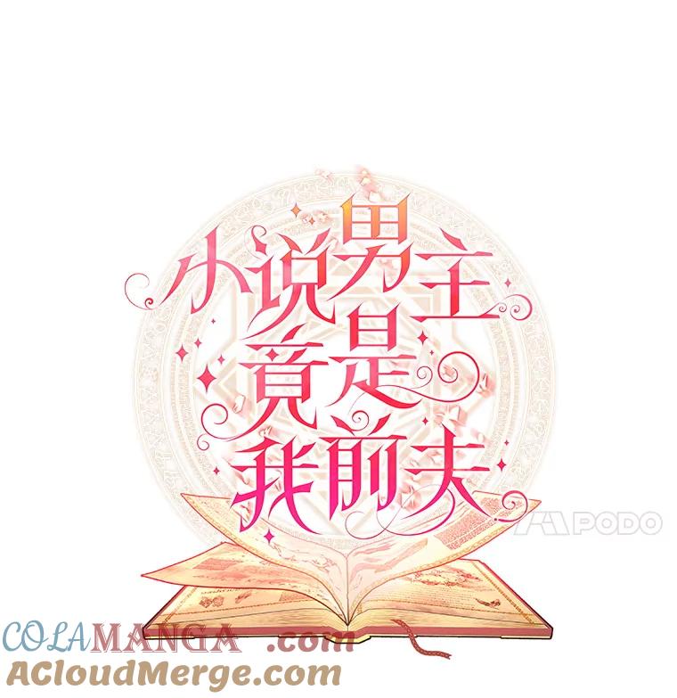 《小说男主竟是我前夫》27.解开误会 第45页