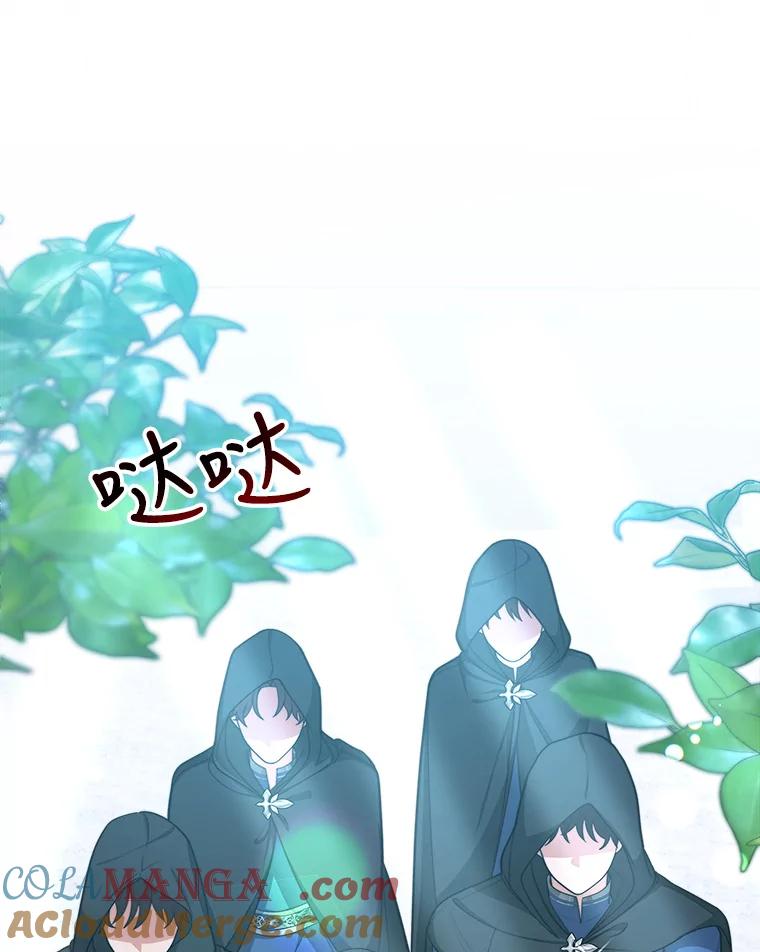 《小说男主竟是我前夫》28.和魔塔主人对峙 第13页