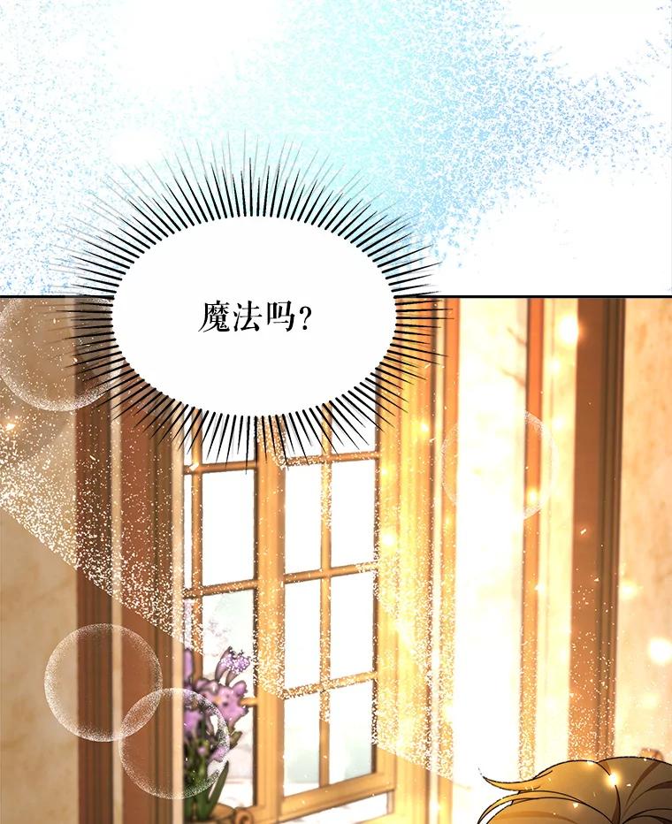 《小说男主竟是我前夫》28.和魔塔主人对峙 第82页