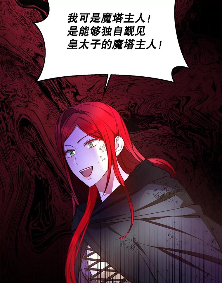 《小说男主竟是我前夫》28.和魔塔主人对峙 第92页