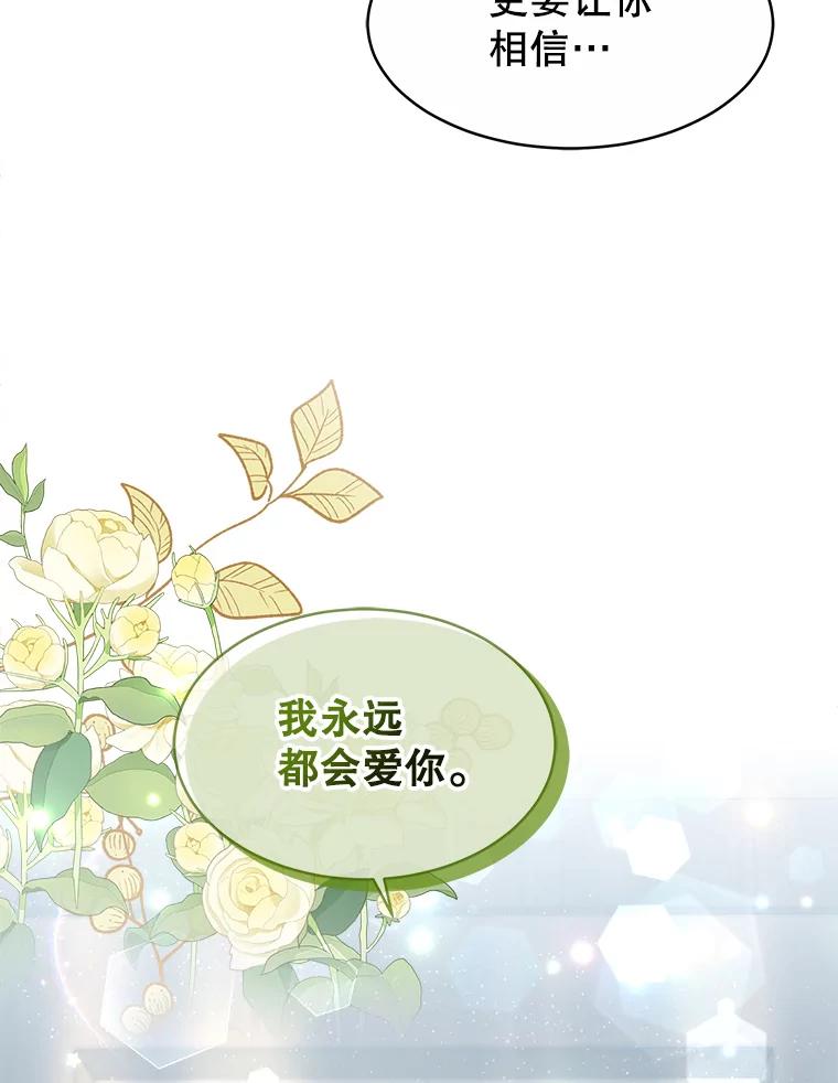 《小说男主竟是我前夫》29.凯利戈的承诺 第99页